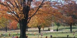 Allegheny Memorial Park - Cover